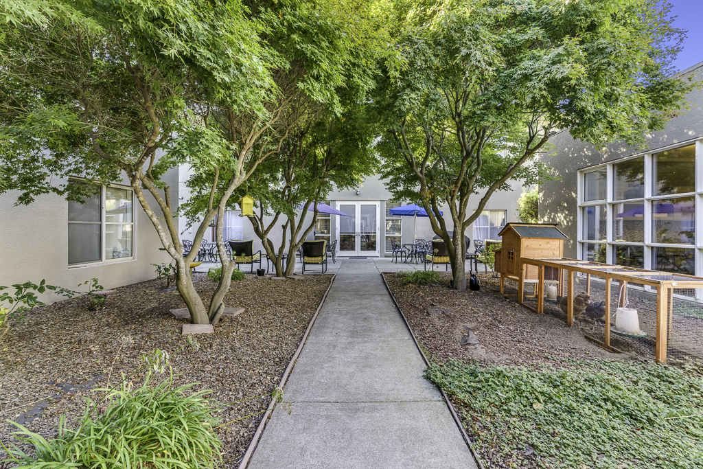 outdoor area with chicken coop